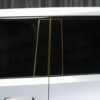 B Pillar Protection - PPF for R1T / R1S
