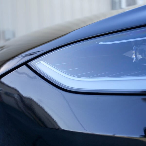 Headlight and Foglight Protection - PPF for Model X
