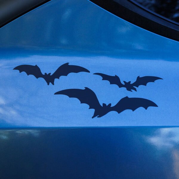 Limited Edition: Halloween Wrap Kit