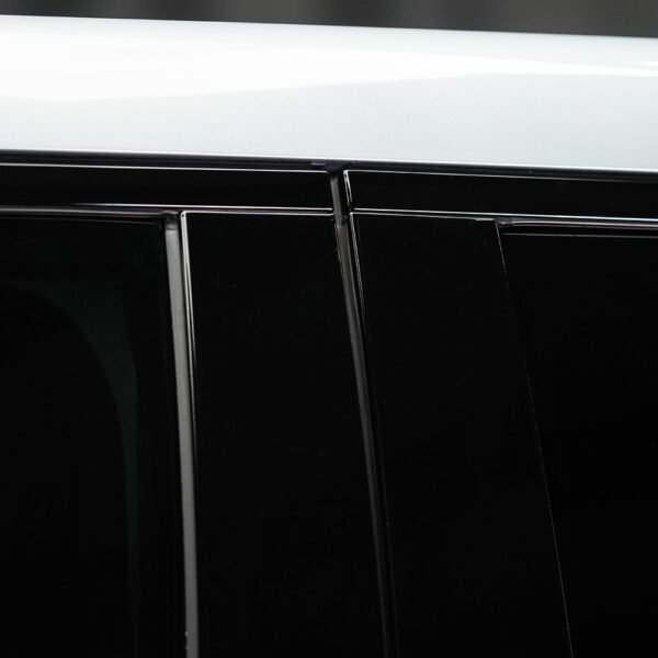 B Pillar Protection - PPF for R1T / R1S