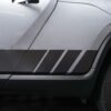 Side Staggered Stripes for R1T