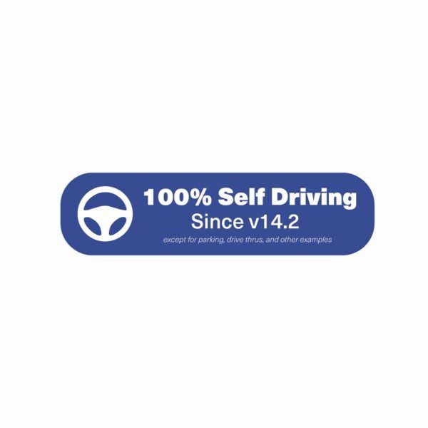 FSD Beta Stickers