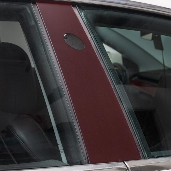 B Pillar Protection - PPF for Model 3